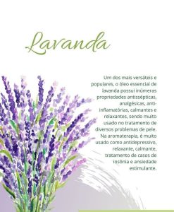 lavanda